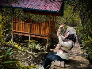 Hutan Mangrove Okura Pekanbaru: Lokasi, Jam Buka, dan Harga Tiket Hutan Mangrove Okura Pekanbaru: Lokasi, Jam Buka, dan Harga Tiket