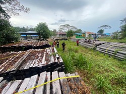 Oknum ASN di Teluk Bintuni Ditetapkan Tersangka Kasus Illegal Logging