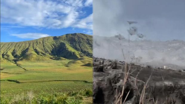 Differences between the Bromo Savannah before and after the fire