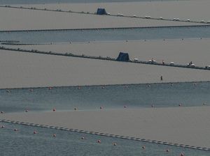 Potret PLTS Terapung Cirata, Terbesar di ASEAN