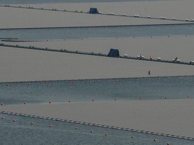 Potret PLTS Terapung Cirata, Terbesar di ASEAN