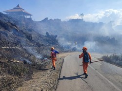 20 Hektar Lahan di Lereng Ijen Terbakar