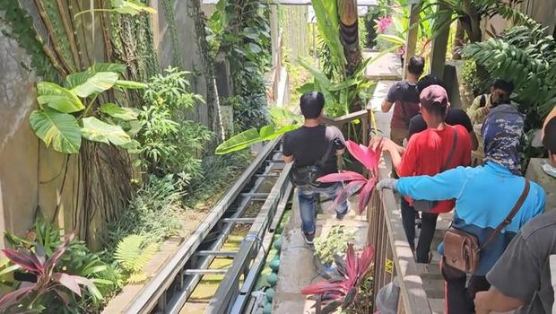 3 Poin Penting Dugaan Penyebab Lift Jatuh di Bali