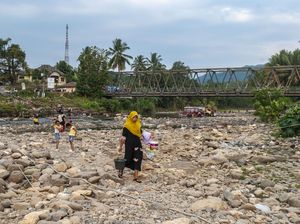 BPBD Serang Sebut Sungai Ciujung Habitat Asli Buaya, Imbau Warga Hati-hati BPBD Serang Sebut Sungai Ciujung Habitat Asli Buaya, Imbau Warga Hati-hati