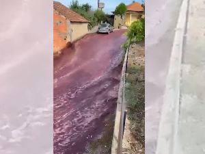 Penampakan Banjir Amer di Portugal gegara Pabrik Penyulingan Anggur Jebol Penampakan Banjir Amer di Portugal gegara Pabrik Penyulingan Anggur Jebol