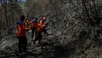 Cegah Kebakaran Meluas, Petugas Sisir Gunung Bromo