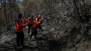 Cegah Kebakaran Meluas, Petugas Sisir Gunung Bromo