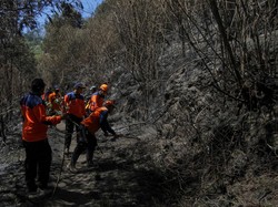 Waduh, Kebakaran Bromo Bikin Bisnis Travel Rugi 100 Persen!