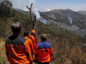 Marak Kebakaran, Perhutani Tutup Jalur Pendakian 26 Gunung di Jawa Marak Kebakaran, Perhutani Tutup Jalur Pendakian 26 Gunung di Jawa