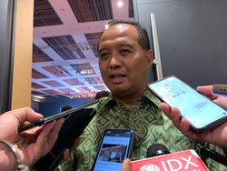 Otorita Sebut Investor Asing Telah Masuk ke IKN Lewat Jalur Ini