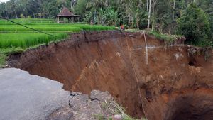Jalan Akses Wisata di Gianyar Bali Ambles, Turis Putar Balik