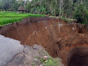 Jalan Akses Wisata di Gianyar Bali Ambles, Turis Putar Balik
