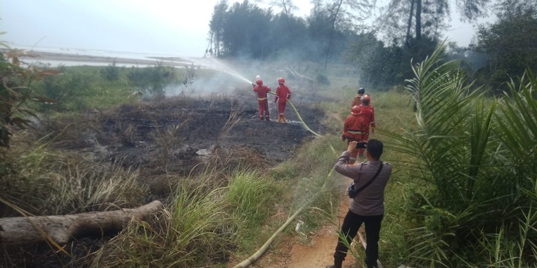 Waspada, Bulan September Jadi Puncak Kerawanan Kebakaran Hutan