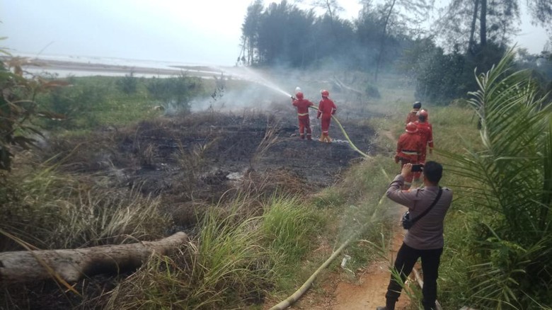 59 Kebakaran Lahan Terjadi di Bengkulu, Damkar Siagakan Personel di Kecamatan