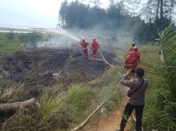 59 Kebakaran Lahan Terjadi di Bengkulu, Damkar Siagakan Personel di Kecamatan