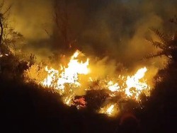 Kebakaran Bromo Merembet Sampai ke Pasuruan