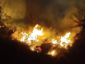 Kebakaran Bromo Merembet Sampai ke Pasuruan Kebakaran Bromo Merembet Sampai ke Pasuruan