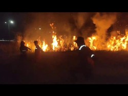 Karhutla Kepung Tol Palindra Malam Ini, Petugas Berjibaku Pemadaman