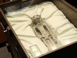 Rupa Jasad Diduga Alien yang Jadi Kontroversi di Meksiko