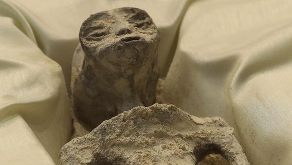6 Potret Mayat Alien di Kongres Meksiko, Struktur Anatomisnya Jadi Perdebatan