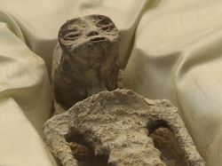 Viral Alien di Meksiko, Pakar Sebut Kemungkinan Jasad Manusia yang Dimodifikasi