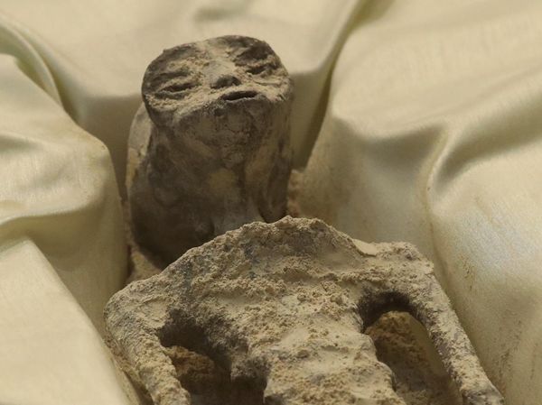 6 Potret Mayat Alien di Kongres Meksiko, Struktur Anatomisnya Jadi Perdebatan
