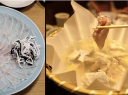 Konsumsinya Berbahaya, Ikan Ini Hanya Boleh Dimasak oleh Chef Terlatih