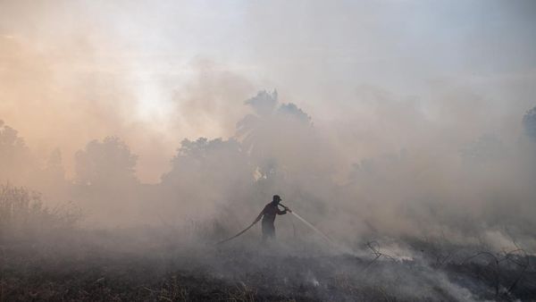 4.082,8 Hektare Lahan di Sumatera Selatan Terbakar