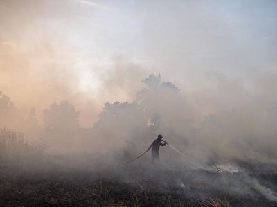 4.082,8 Hektare Lahan di Sumatera Selatan Terbakar