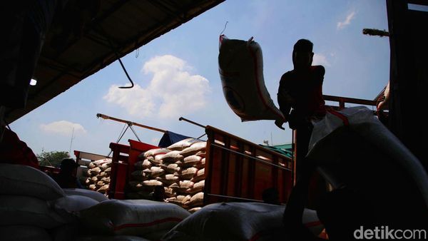 Melihat Proses Bongkar Muat Beras yang Harganya Lagi Meroket