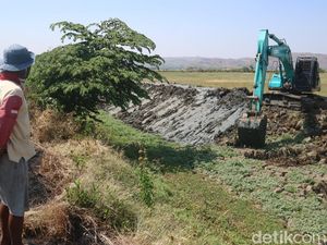 Jerit Petani Undaan Kudus 4 Tahun Gagal Panen gegara Sungai Penuh Lumpur