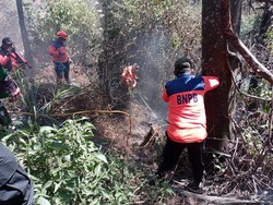 Hari Kedelapan Kebakaran Bromo, Masih Ada 2 Titik Api yang Belum Padam