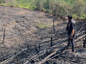 Pembakar 2 Hektare Lahan di Sarolangun Ditangkap Polisi