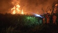 Potret Perjuangan Damkar Padamkan Kebakaran Lahan di Ogan Ilir