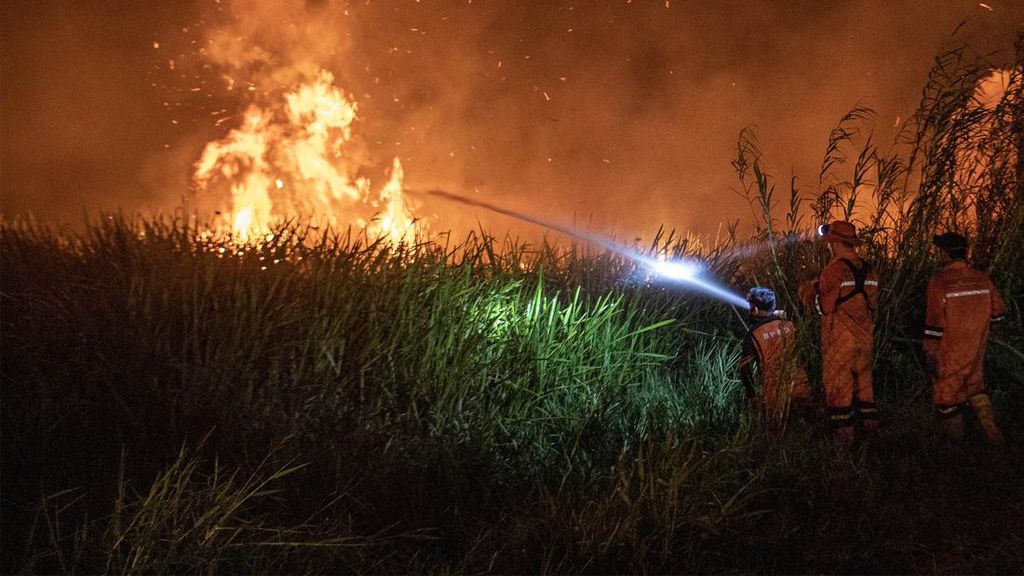 Potret Perjuangan Damkar Padamkan Kebakaran Lahan di Ogan Ilir Potret Perjuangan Damkar Padamkan Kebakaran Lahan di Ogan Ilir