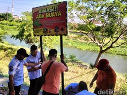 BPBD Pasang Imbauan Awas Ada Buaya di Bantaran Sungai Nginden Surabaya