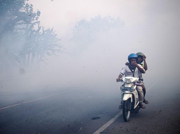 Asap Kebakaran Lahan Ganggu Pengendara di Jalan Lintas Palembang-Indralaya