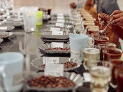 Coffee Cupping Tak Sekadar Cicip Rasa Kopi, Begini Prosesnya