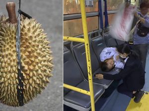 Duh! Kondektur Bus Ini Pingsan Gara-gara Penumpang Bawa Durian Duh! Kondektur Bus Ini Pingsan Gara-gara Penumpang Bawa Durian
