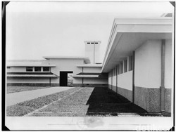 Sejarah RPH Ciroyom: Berawal dari Tempat Jagal Babi