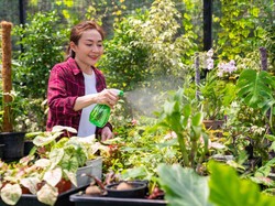 Studi Ungkap Aktivitas Berkebun Bisa Mengurangi Insomnia, Ini Alasannya