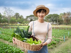 10 Menu Makan Siang yang Cocok untuk Diet dan Menghilangkan Perut Buncit