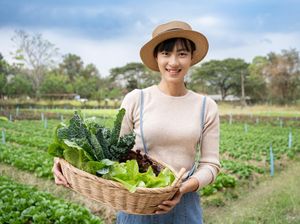 10 Menu Makan Siang yang Cocok untuk Diet dan Menghilangkan Perut Buncit 10 Menu Makan Siang yang Cocok untuk Diet dan Menghilangkan Perut Buncit