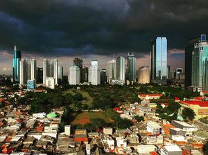 Waspada! Ini Potensi Penularan Virus Nipah Pada Manusia Waspada! Ini Potensi Penularan Virus Nipah Pada Manusia