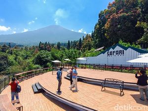 Cegah Kebakaran Hutan, Jalur Pendakian Gunung Slamet Ditutup! Cegah Kebakaran Hutan, Jalur Pendakian Gunung Slamet Ditutup!