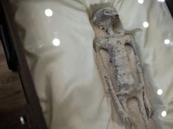 Disangka Alien, Temuan Jasad Misterius di Meksiko Ternyata...