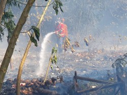6 Hal Diketahui soal Kebakaran di TPA Gunung Sadai Belitung