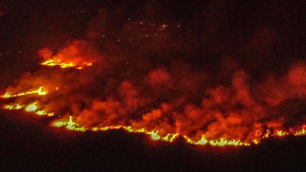 Penampakan Api Lalap Lahan di Ogan Ilir