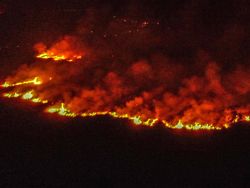 Ogan Ilir Siaga Karhutla, Tercatat 381 Hektare Lahan Terbakar