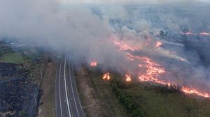 Potret Kebakaran Lahan di Samping Tol Palembang-Indralaya